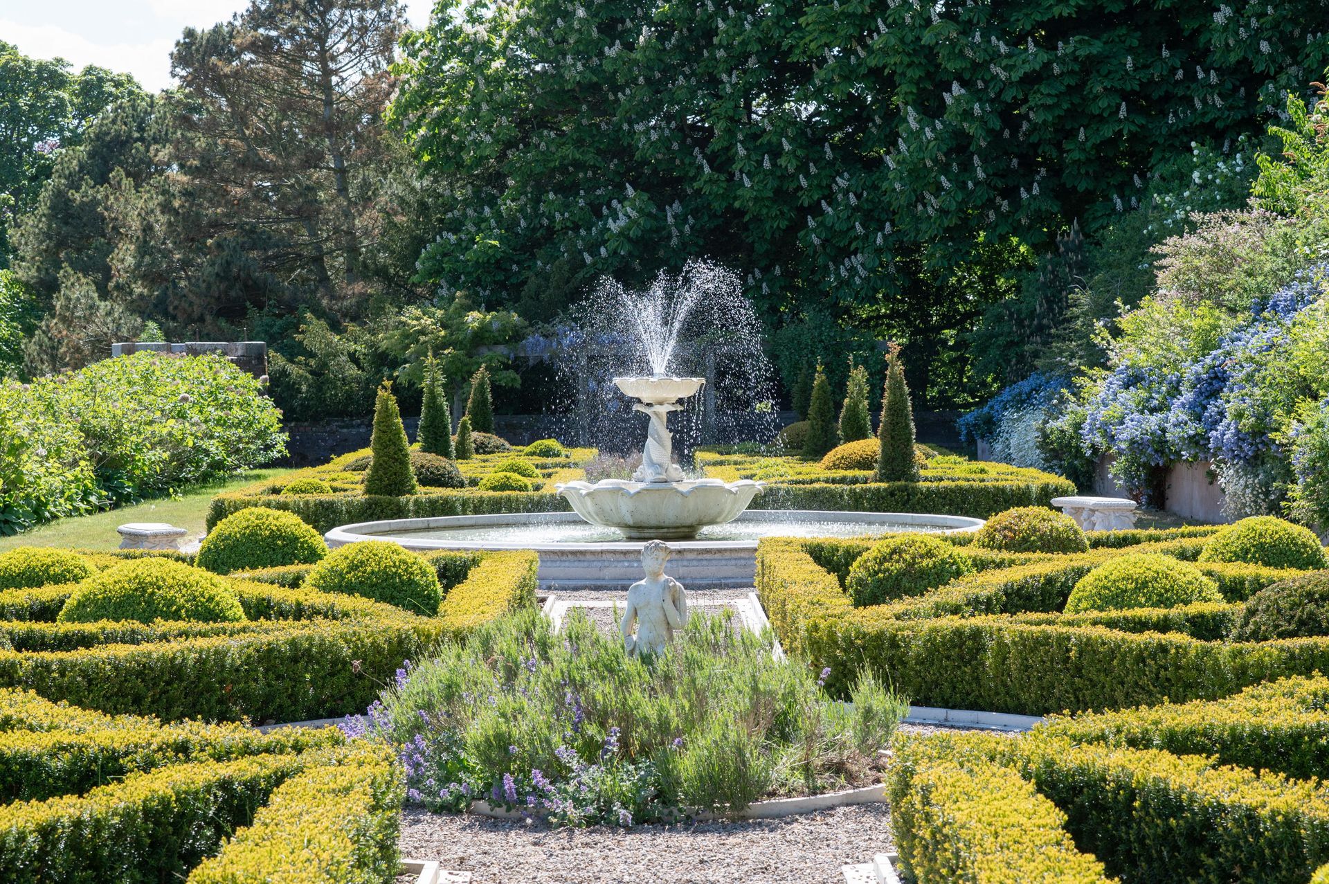 Original flower garden photograph